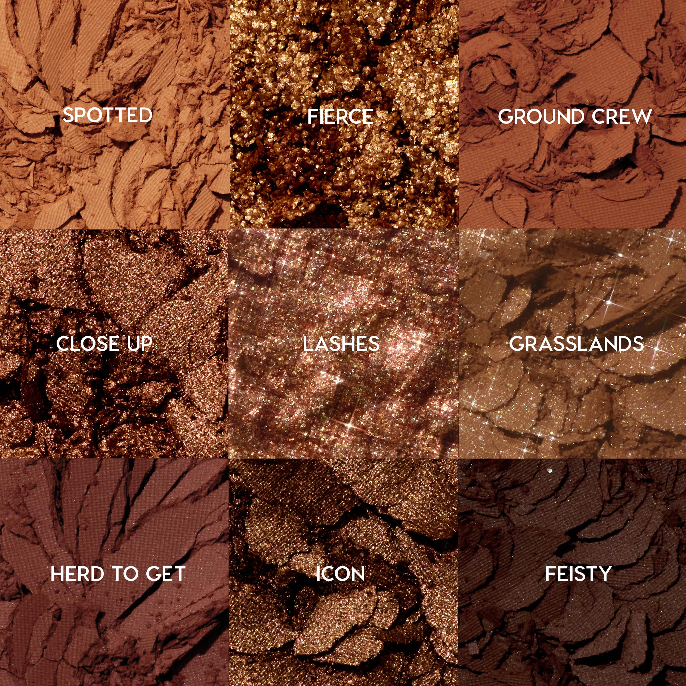 Feelin Wild - Image 2