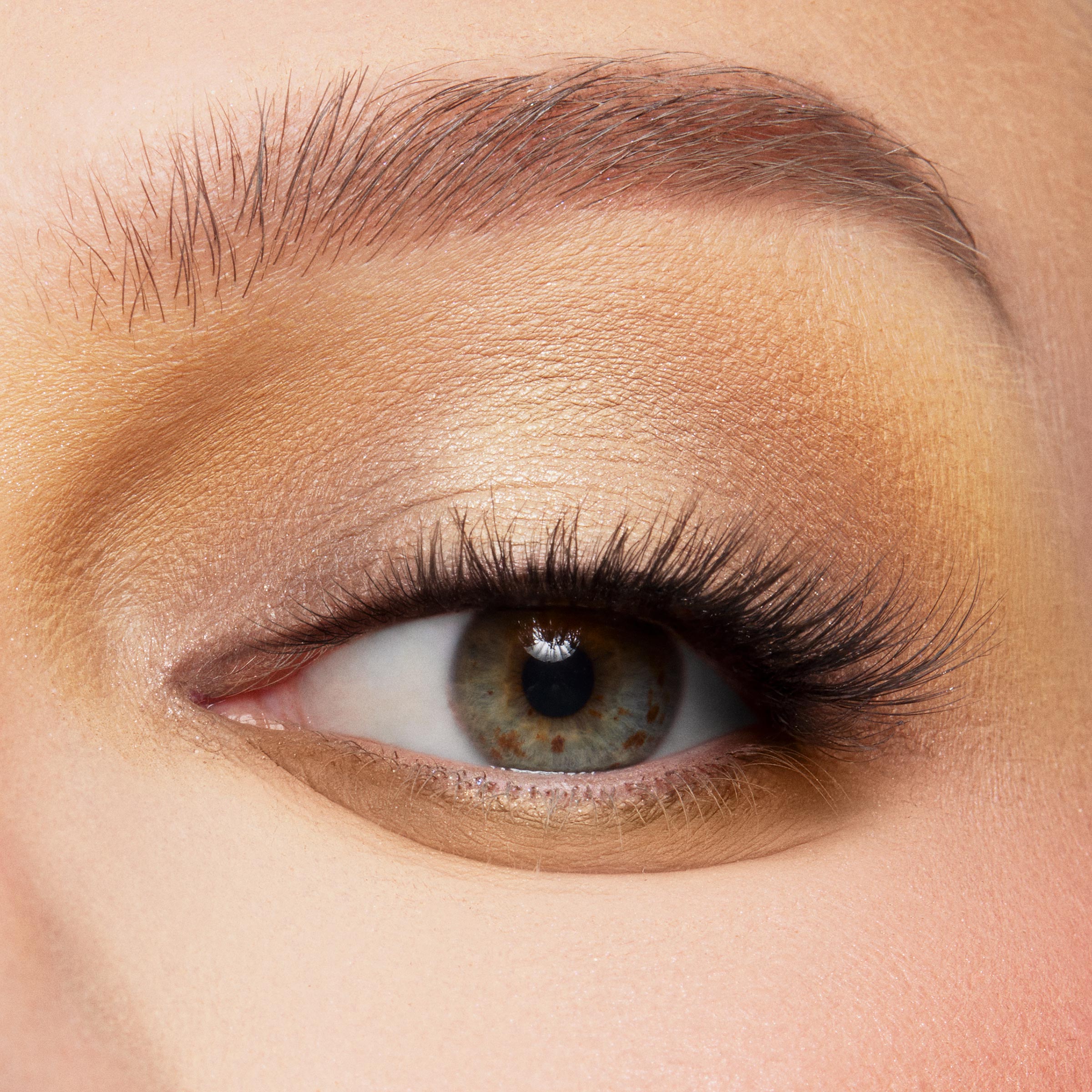 The Toys Are Here - Image 5